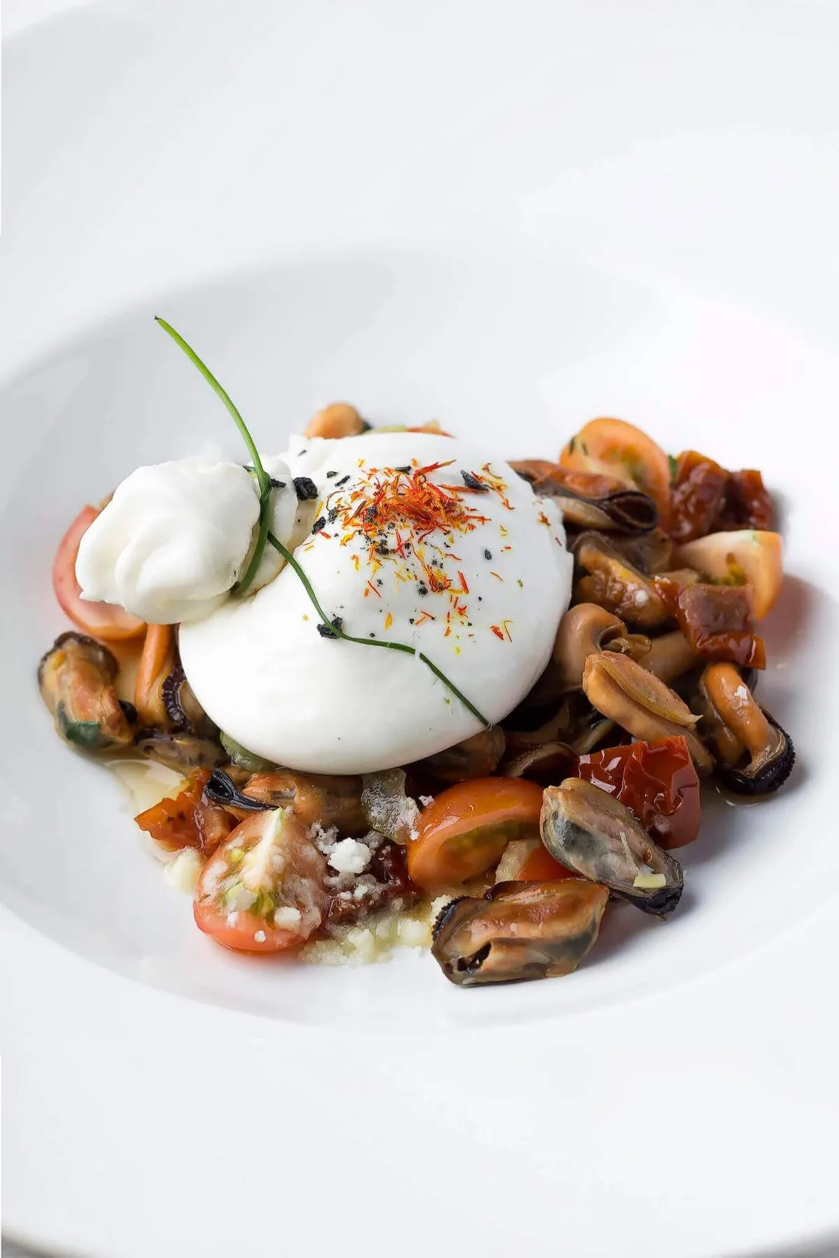 Burrata with mussels and tomatoes