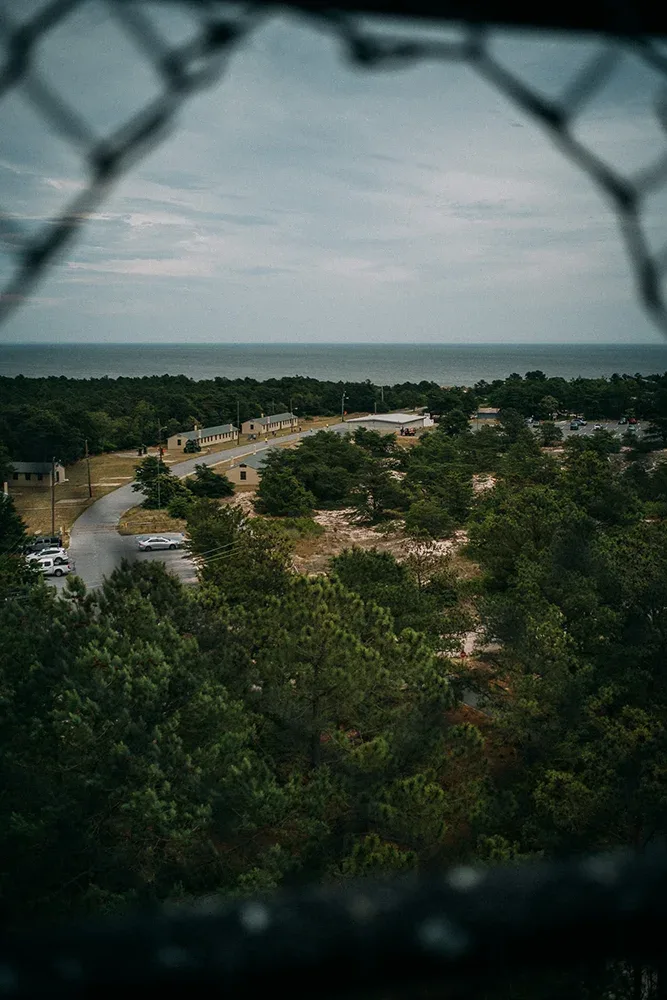 Maritime forest at Cape Henlopen State Park