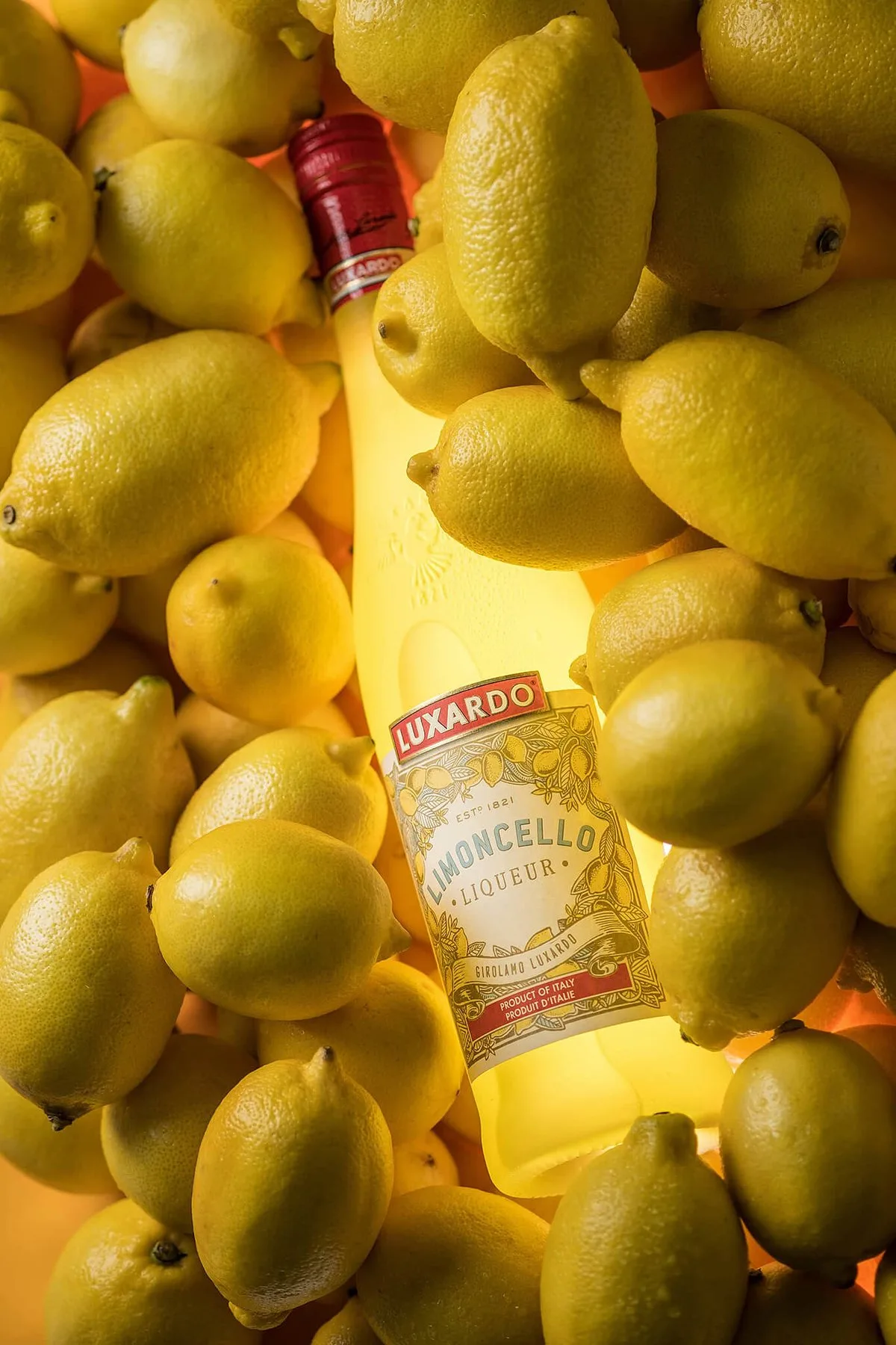 Limoncello · bottle in lemons