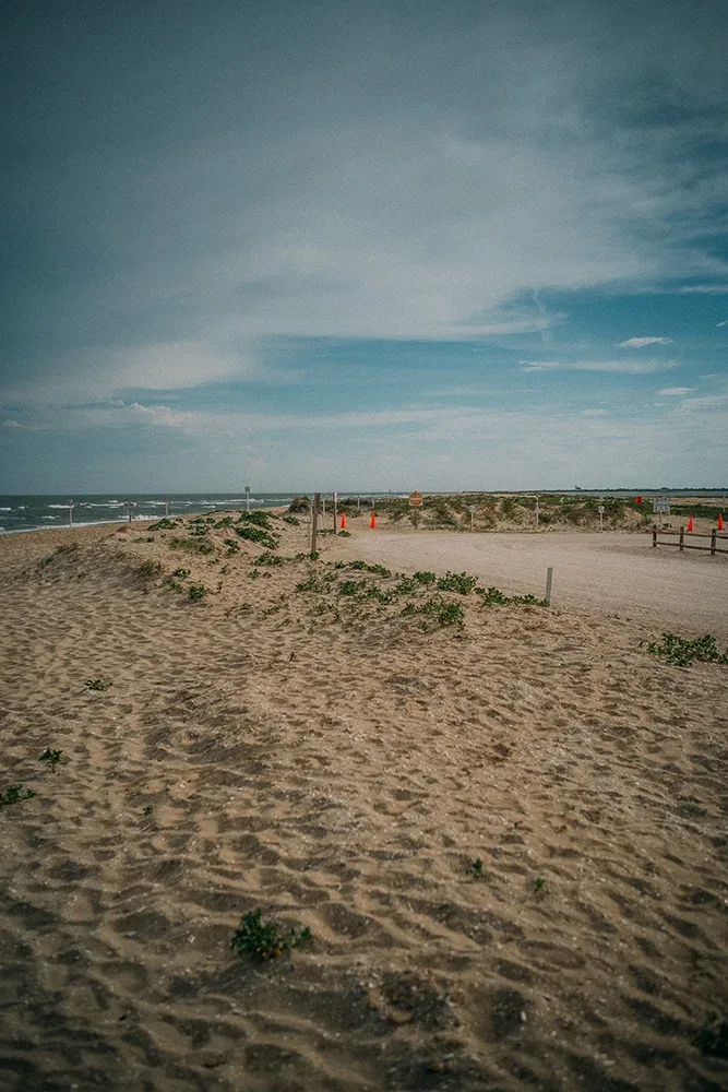 Wildlife Loop at Chincoteague National Wildlife Refuge, Virginia