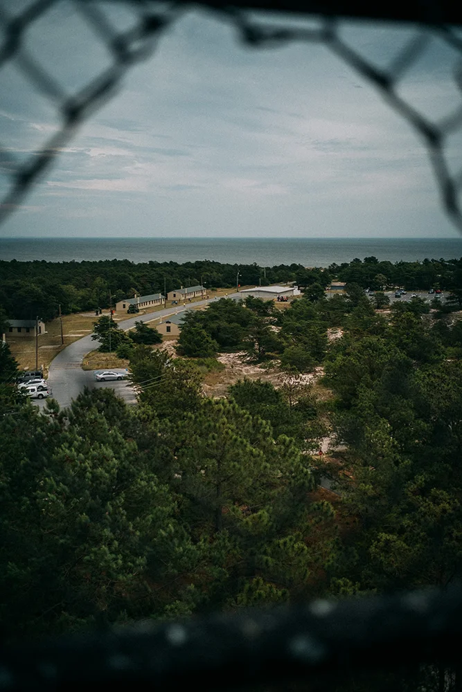 Maritime forest at Cape Henlopen State Park
