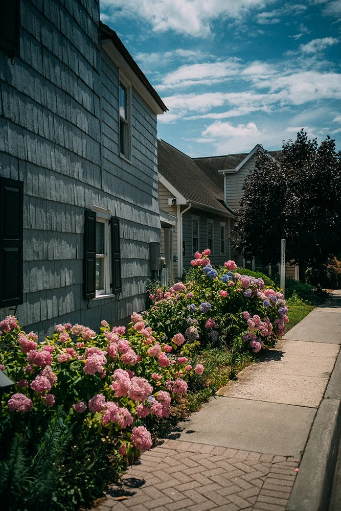 Charming corner of downtown Lewes, Delaware