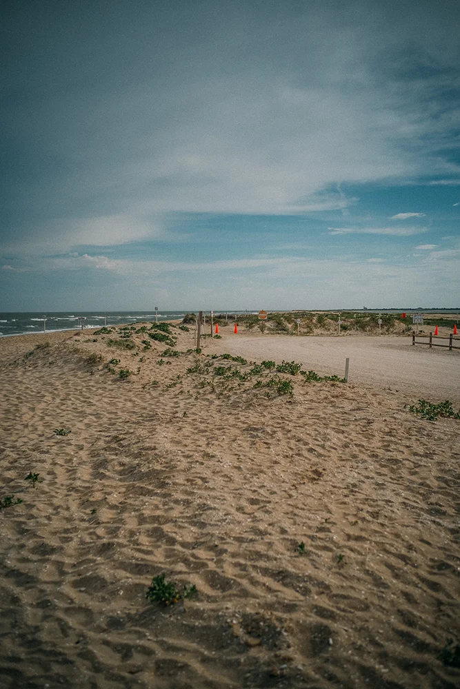 Wildlife Loop at Chincoteague National Wildlife Refuge, Virginia