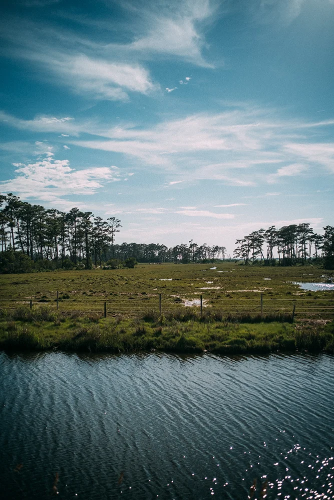 Marsh and beach at Chincoteague National Wildlife Refuge, Virginia, home of the wild ponies