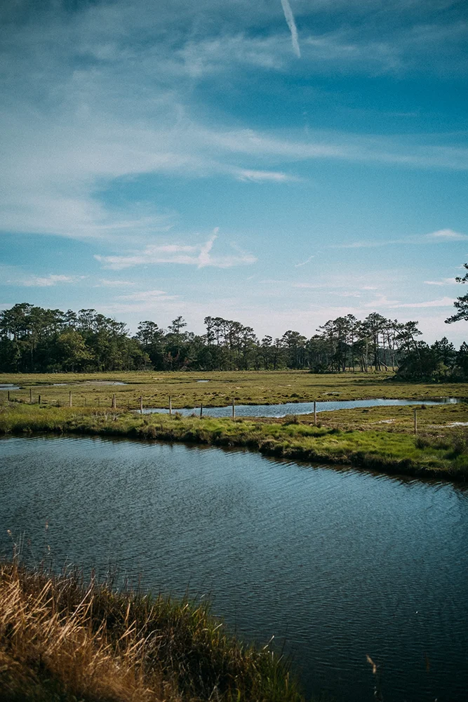 Coastal scenery at Chincoteague National Wildlife Refuge, Virginia
