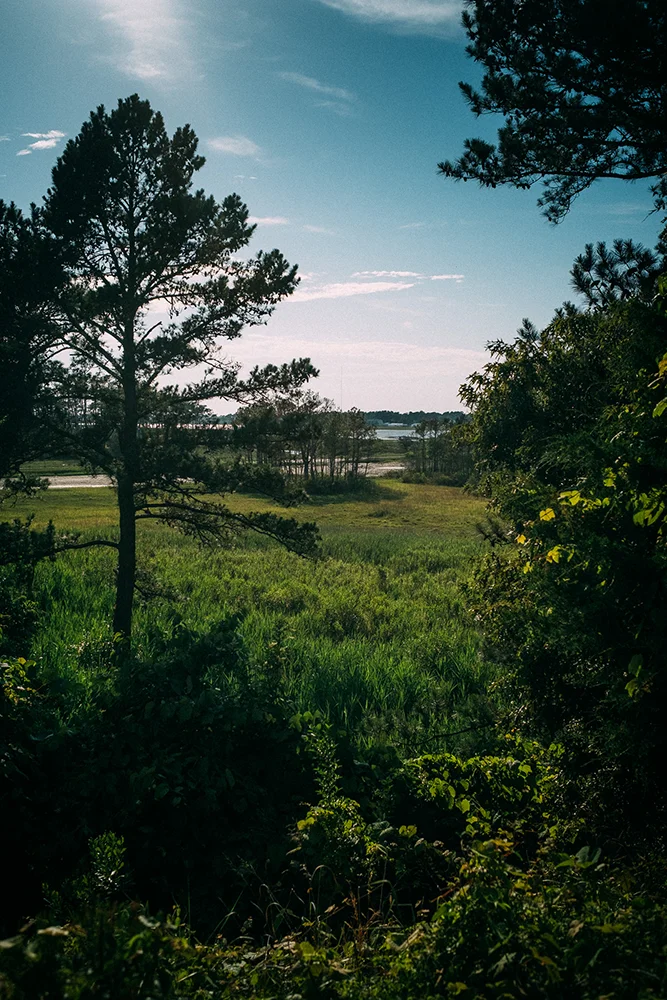 Atlantic beach at Chincoteague, Virginia